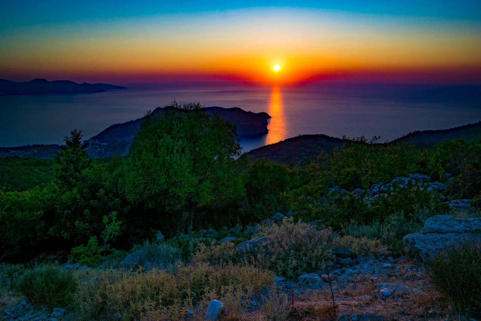 trees near sea during golden hour